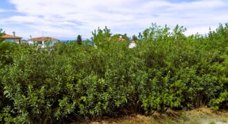 ID 1375 Парцел за продажба в Полихроно